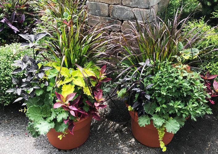 How To Create Fall Container Gardens | The Dirt Blog | Satuffers