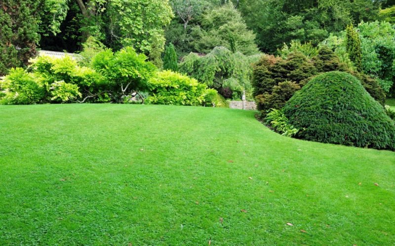 Lawn Care And Landscaping Near Me