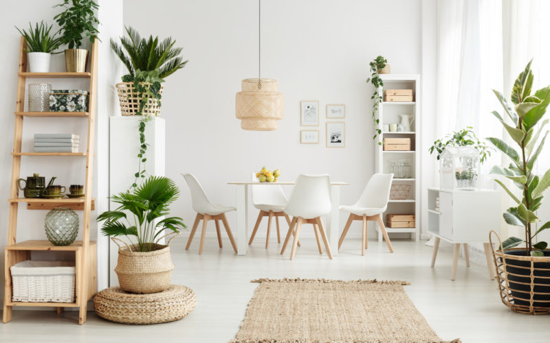 plants decor living room