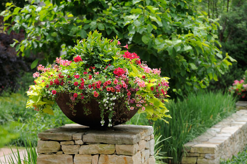 plants spill out of a round pot on a stone pillar